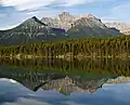 Mount Niblock reflected in Lake Herbert