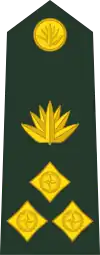 Brigadier general (Bengali: ব্রিগেডিয়ার জেনারেল, romanized: Brigēḍiẏāra jēnārēla) (Bangladesh Army)[10]
