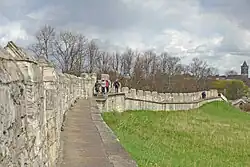 York City Walls