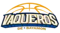 Previously used logo