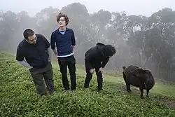 Group shot of Because of Ghosts