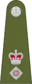 Lieutenant-Colonel