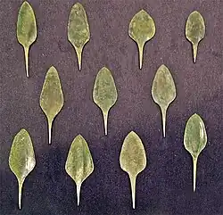 Metal javelin points, Castro of Vila Nova de São Pedro, Portugal