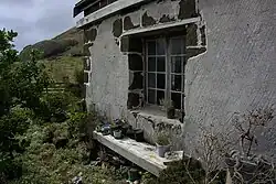 Window and garden of the house, 2023