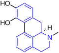 Apomorphine (one additional ring closure)