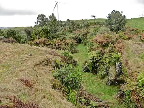 On the Vandy Rd side of the summit the part-formed Plateau Rd drops through a rock cutting about 300 metres long, 3 metres wide and up to 3 metres deep. In the 1940s it is said a car managed to follow this road, though it is now very difficult to get a mountain bike along it.