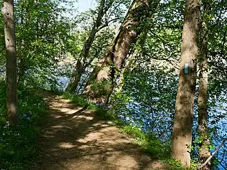 B trail, Potomac River to the right, through the trees