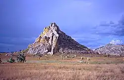 Grassy plain with isolated palms and a rocky outcrop in the background
