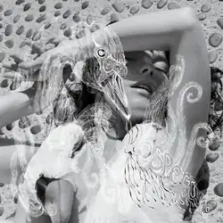 A closeup photograph of Björk lying on a gravel surface. Her left arm is above her face and she is wearing a dress resembling a swan with its neck wrapped around her. A white drawing of a swan with the album title is in the foreground.