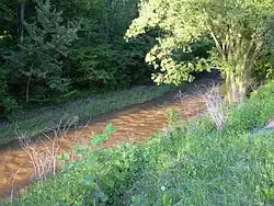 Red Colored sediment carried in the suspended Load moving in an Alluvial channel