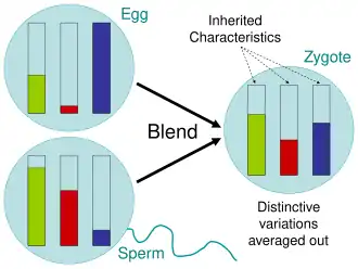 Image 33Blending Inheritance (from History of genetics)