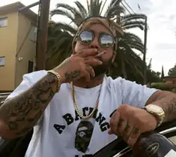 Bodega Bamz in East Harlem, New York, 2019