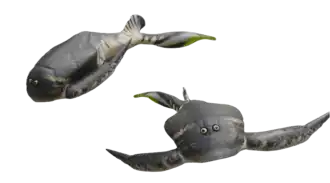 Bothriolepis, a diverse antiarch genus that lived from the Mid to Late Devonian.