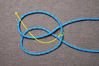 Path the bight takes through the cat's eye