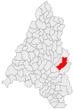 Location in Bihor County