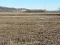 Bottomland with power plant in background