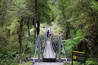 Bridge over Clarke Creek on the Croesus Track