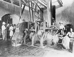 Sisal factory,  1906/18