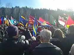 Flags marching through a crowd