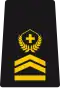 OR-7b - Chief sergeant major
