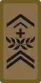 WO-1 - Warrant officer