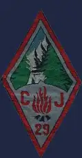 Insignia of CJF 29 - Team 2.