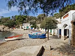 Looking south along the cove