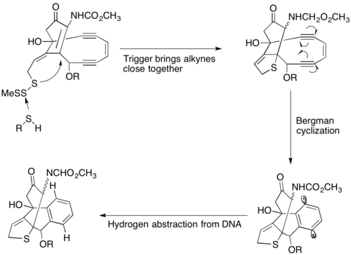 Mechanism of action for calicheamicin