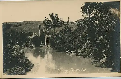Camuy River circa 1900–1917