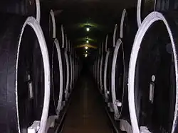 Wine cellar in Cotnari