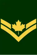Early post unification Corporal insignia with maple leaf.