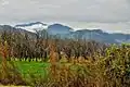 Chakdara, Lower Dir