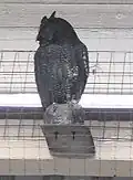 Carved wooden owl above Platform 4 at Chester Railway station intended to scare away pigeons, apparently declared unsuccessful in 1987.[83]