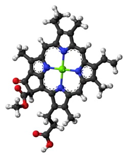 Chlorophyll c1 molecule