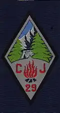 Insignia of CJF 29 - Team 9.