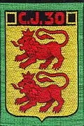 Insignia of CJF 30.