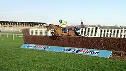 Cois Farraig jumps the last in front at Newbury