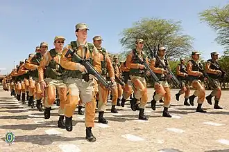 Brazilian Caatinga soldiers