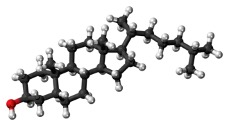 Ball-and-stick model of the coprostanol molecule