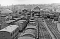 Goods wagons stored in the yard 17 July 1955.