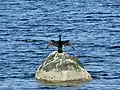 Cormorant at Lunderston Bay