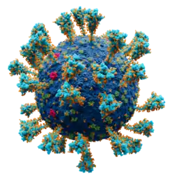 "Severe acute respiratory syndrome coronavirus 2"