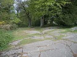 Glacial pavements on Corstorphine Hill, showing striation