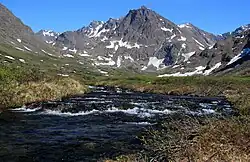 Mt. Williwaw in background