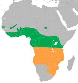 Map of Africa showing highlighted range. Year-round range covers most of equatorial Africa. Summer range covers southern much of southern Africa.