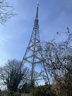 Crystal Palace transmitter mast as seen from Old Cople Lane adjacent to the remains of the aquarium.