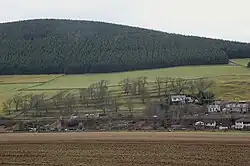 Cultivation terraces, Walkerburn