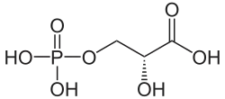 Skeletal structure of 3-Phosphoglyceric acid