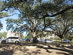 Isaac Delgado Hall, Delgado, City Park Campus