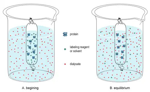 Small-molecule dialysis using dialysis tubing